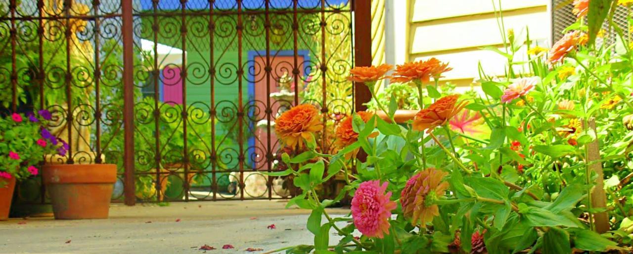 Creole Gardens Guesthouse And Inn Νέα Ορλεάνη Εξωτερικό φωτογραφία